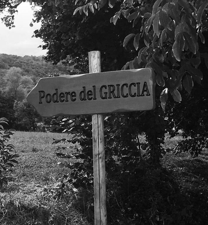 Podere Del Griccia Чивителла-ин-Валь-ди-Кьяна Экстерьер фото